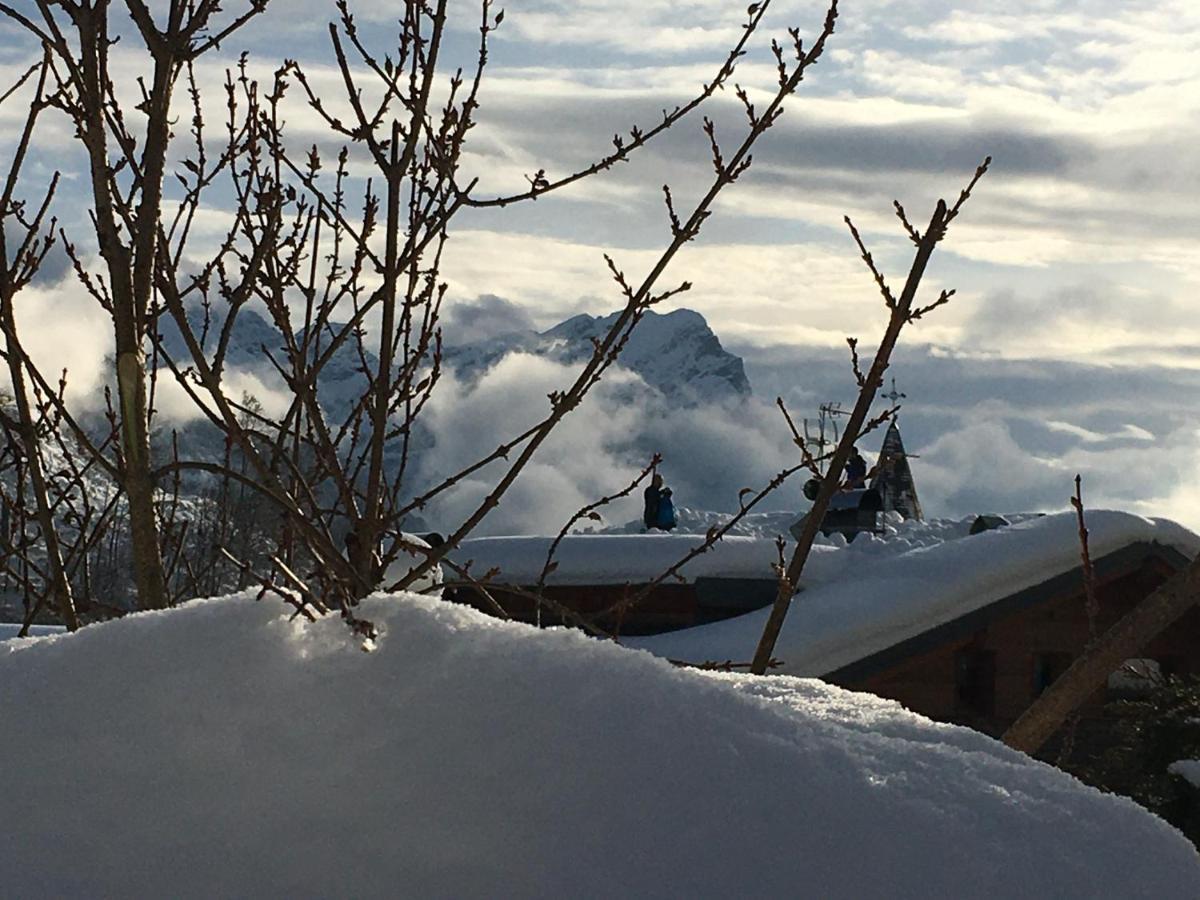 Apartment Carducci Pieve di Cadore